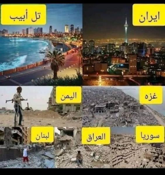 اين مشايخ الامه والجهاد في فلسطين 